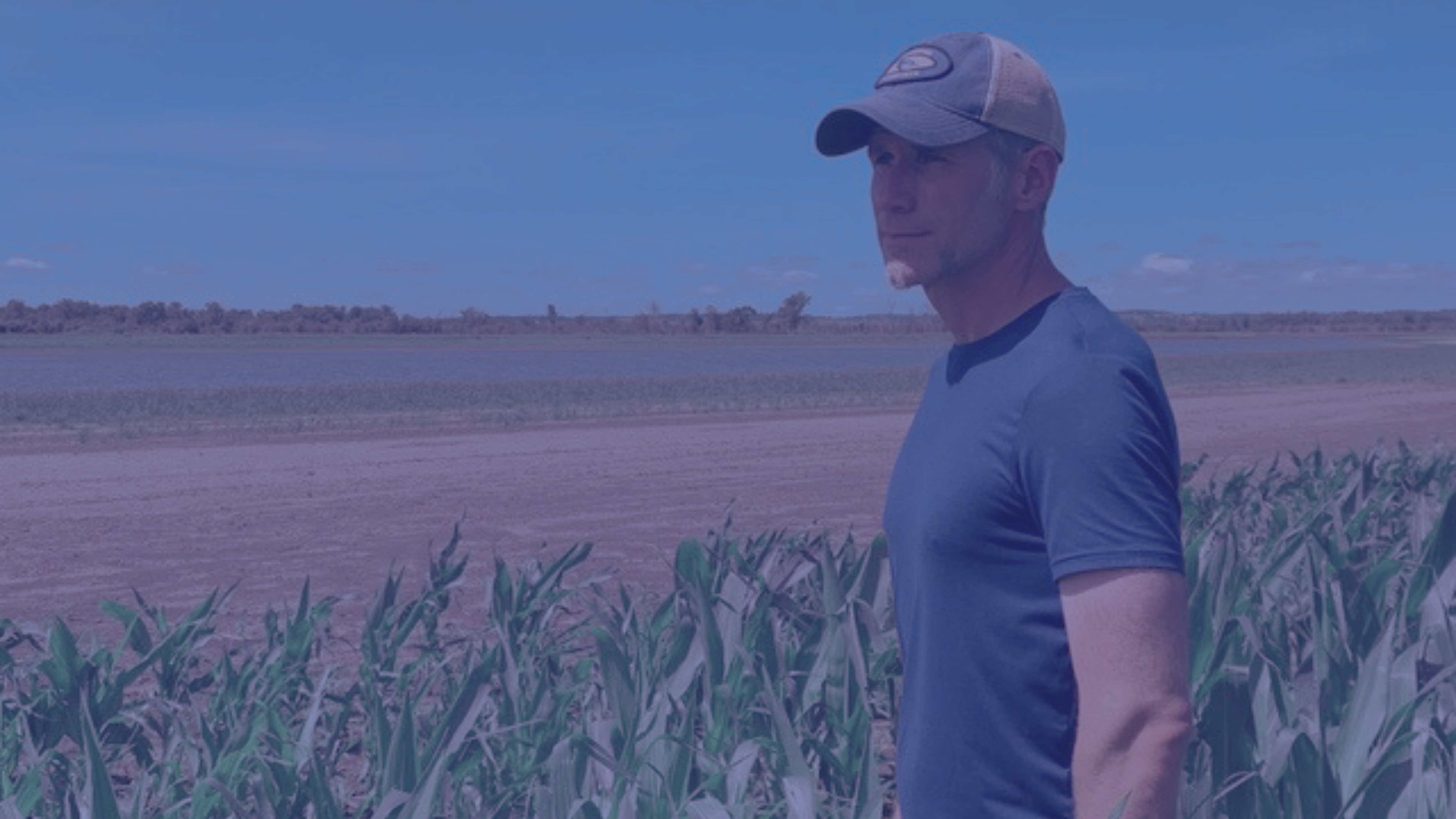 Iowa corn and soybean field